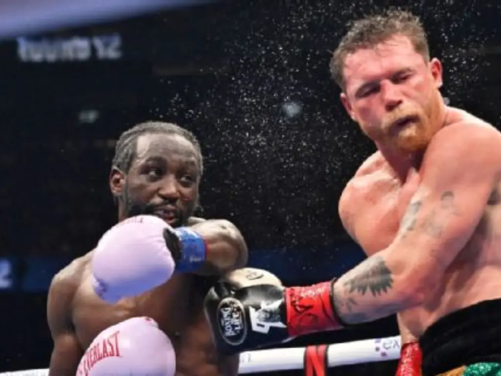 Terence Crawford out landed Canelo Alvarez 115-99 in total punches and effectively
